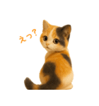毎日使える♪ぬいぐるみ三毛猫スタンプ（個別スタンプ：24）