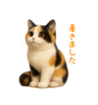 毎日使える♪ぬいぐるみ三毛猫スタンプ（個別スタンプ：26）
