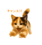 毎日使える♪ぬいぐるみ三毛猫スタンプ（個別スタンプ：30）