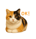 毎日使える♪ぬいぐるみ三毛猫スタンプ（個別スタンプ：31）