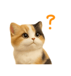毎日使える♪ぬいぐるみ三毛猫スタンプ（個別スタンプ：33）