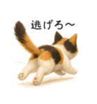 毎日使える♪ぬいぐるみ三毛猫スタンプ（個別スタンプ：36）