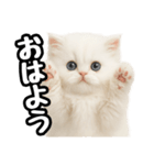 日常会話veペルシャ（個別スタンプ：1）