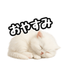 日常会話veペルシャ（個別スタンプ：4）
