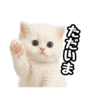 日常会話veペルシャ（個別スタンプ：5）