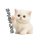 日常会話veペルシャ（個別スタンプ：7）