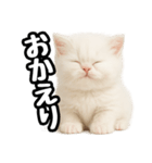 日常会話veペルシャ（個別スタンプ：8）