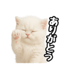 日常会話veペルシャ（個別スタンプ：9）