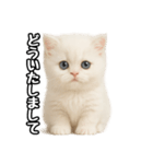 日常会話veペルシャ（個別スタンプ：10）