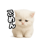 日常会話veペルシャ（個別スタンプ：12）