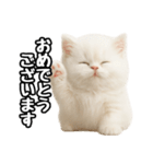 日常会話veペルシャ（個別スタンプ：15）