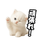 日常会話veペルシャ（個別スタンプ：16）