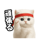 日常会話veペルシャ（個別スタンプ：17）