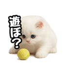 日常会話veペルシャ（個別スタンプ：18）