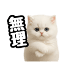 日常会話veペルシャ（個別スタンプ：19）
