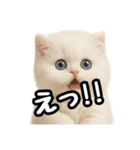 日常会話veペルシャ（個別スタンプ：21）