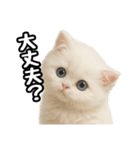 日常会話veペルシャ（個別スタンプ：22）