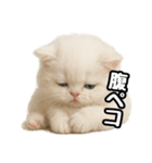 日常会話veペルシャ（個別スタンプ：23）