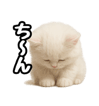 日常会話veペルシャ（個別スタンプ：24）