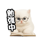 日常会話veペルシャ（個別スタンプ：26）