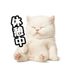 日常会話veペルシャ（個別スタンプ：27）