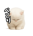 日常会話veペルシャ（個別スタンプ：28）