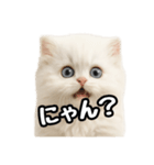 日常会話veペルシャ（個別スタンプ：29）