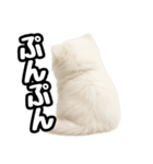 日常会話veペルシャ（個別スタンプ：30）