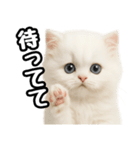 日常会話veペルシャ（個別スタンプ：35）
