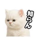日常会話veペルシャ（個別スタンプ：36）