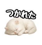 日常会話veペルシャ（個別スタンプ：38）