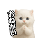 日常会話veペルシャ（個別スタンプ：39）