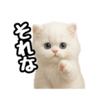 日常会話veペルシャ（個別スタンプ：40）