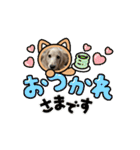 ミニチュアダックスのSORA（個別スタンプ：7）