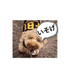 黒さきプリン.（個別スタンプ：1）