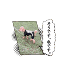 黒さきプリン.（個別スタンプ：2）