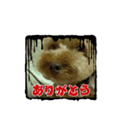 黒さきプリン.（個別スタンプ：4）