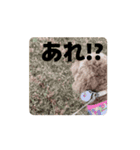 黒さきプリン.（個別スタンプ：6）