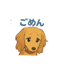 ダックス_クウちゃん2（個別スタンプ：5）
