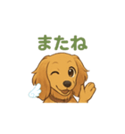 ダックス_クウちゃん2（個別スタンプ：7）