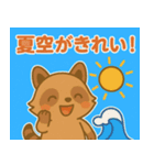 あらいぐまの使いやすい夏のスタンプ（個別スタンプ：6）