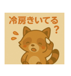 あらいぐまの使いやすい夏のスタンプ（個別スタンプ：12）