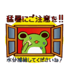 窓からカエルスタンプ（個別スタンプ：24）