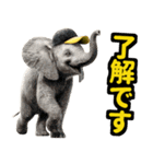 リアル象ミーム2 大阪神戸の野球虎ファン象（個別スタンプ：3）