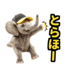 リアル象ミーム2 大阪神戸の野球虎ファン象（個別スタンプ：10）