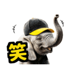 リアル象ミーム2 大阪神戸の野球虎ファン象（個別スタンプ：17）