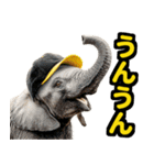 リアル象ミーム2 大阪神戸の野球虎ファン象（個別スタンプ：18）