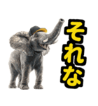 リアル象ミーム2 大阪神戸の野球虎ファン象（個別スタンプ：20）
