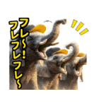 リアル象ミーム2 大阪神戸の野球虎ファン象（個別スタンプ：30）