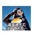 全肯定ペンギン【褒め言葉・便利・面白い】（個別スタンプ：3）